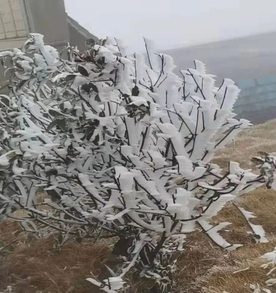 长沙又一地加入下雪群聊！让小编数数，有多少人在等它来？休闲区蓝鸢梦想 - Www.slyday.coM