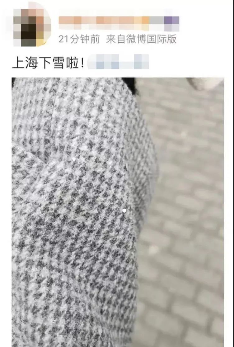 上海真的下雪了！要放大镜找的那种...进来看今日上海雪景有多夸张休闲区蓝鸢梦想 - Www.slyday.coM