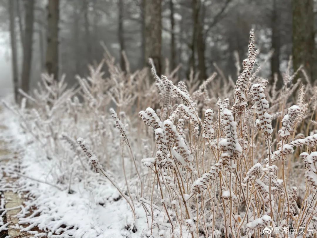 长沙、常德…湖南多地下雪！下雪离你有多远？省气象台预计...休闲区蓝鸢梦想 - Www.slyday.coM