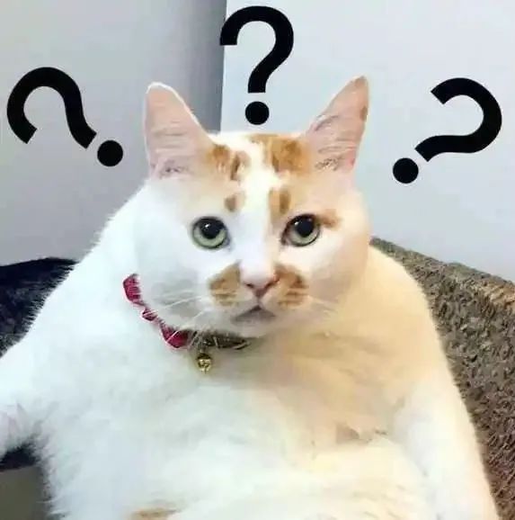 被苹果亲手放弃的iPhone，居然杀回来了休闲区蓝鸢梦想 - Www.slyday.coM