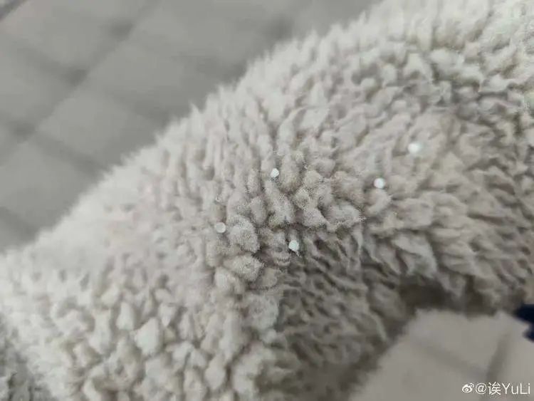 上海下雪了！后天最低休闲区蓝鸢梦想 - Www.slyday.coM