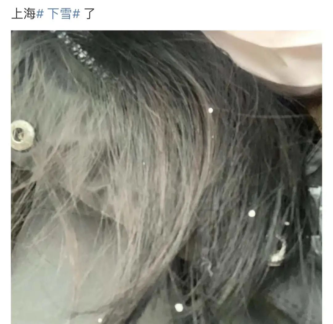 上海真的下雪了！要放大镜找的那种...进来看今日上海雪景有多夸张休闲区蓝鸢梦想 - Www.slyday.coM