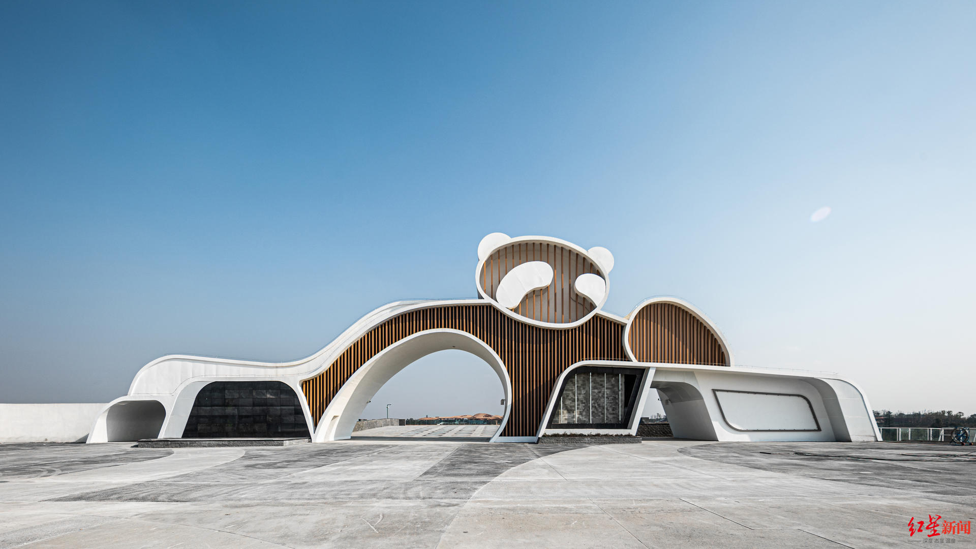 首批入住43只滚滚成都大熊猫繁育研究基地扩建区元旦预开园试运营