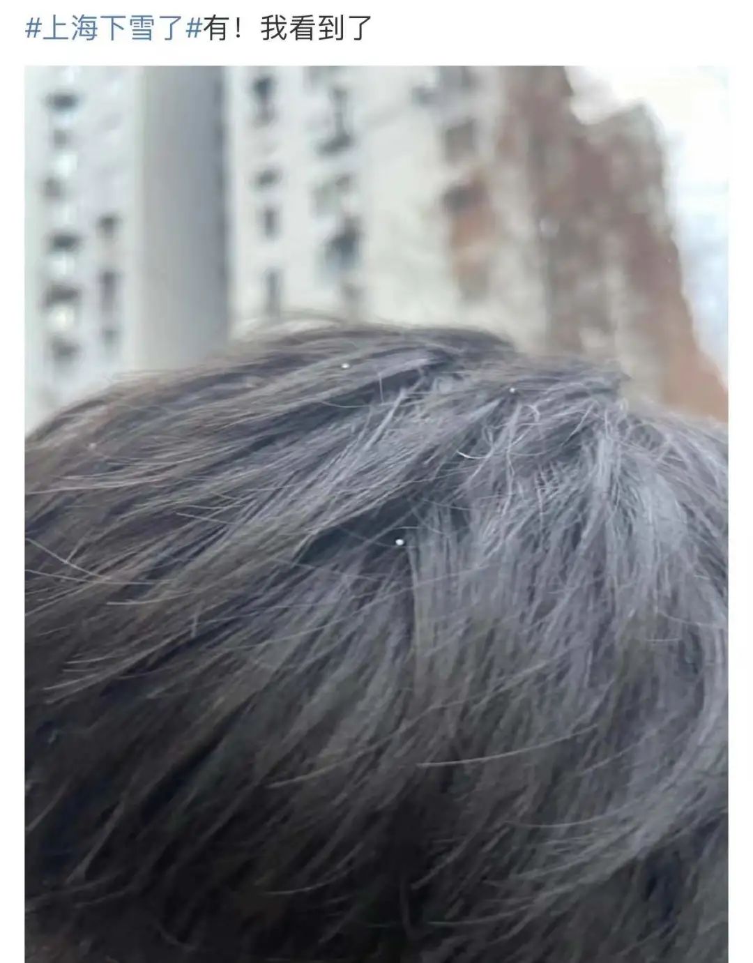 上海真的下雪了！要放大镜找的那种...进来看今日上海雪景有多夸张休闲区蓝鸢梦想 - Www.slyday.coM