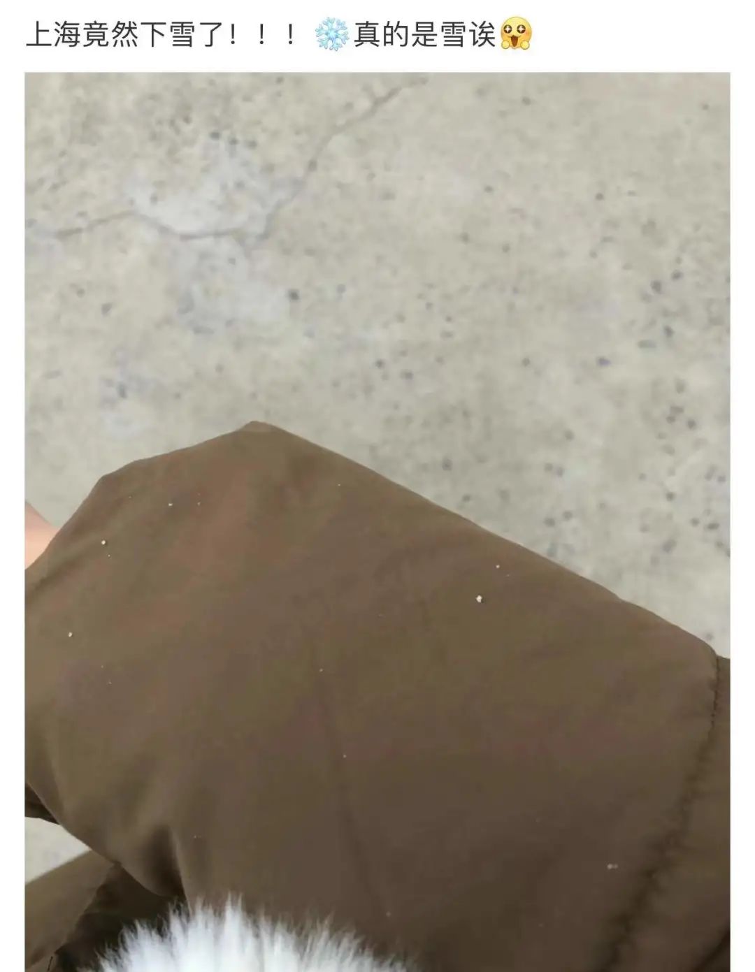 上海真的下雪了！要放大镜找的那种...进来看今日上海雪景有多夸张休闲区蓝鸢梦想 - Www.slyday.coM