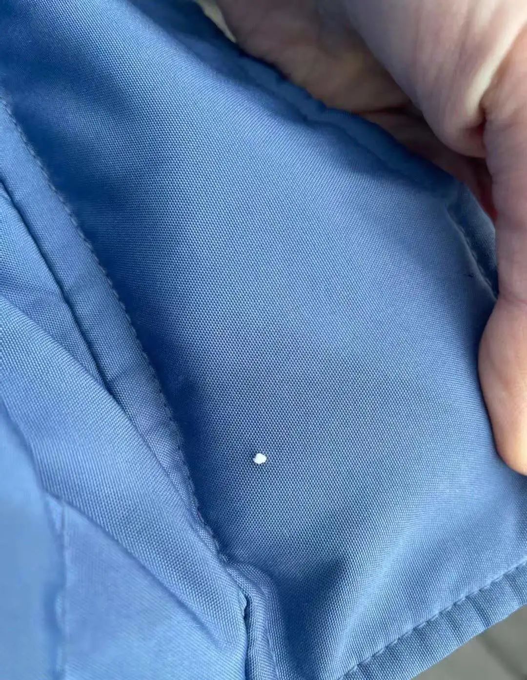 上海真的下雪了！要放大镜找的那种...进来看今日上海雪景有多夸张休闲区蓝鸢梦想 - Www.slyday.coM