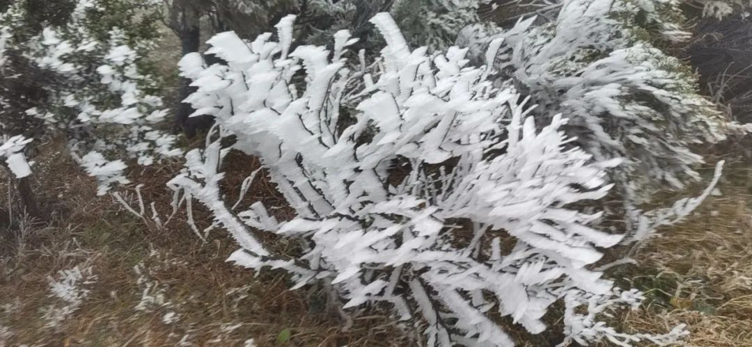 长沙又一地加入下雪群聊！让小编数数，有多少人在等它来？休闲区蓝鸢梦想 - Www.slyday.coM