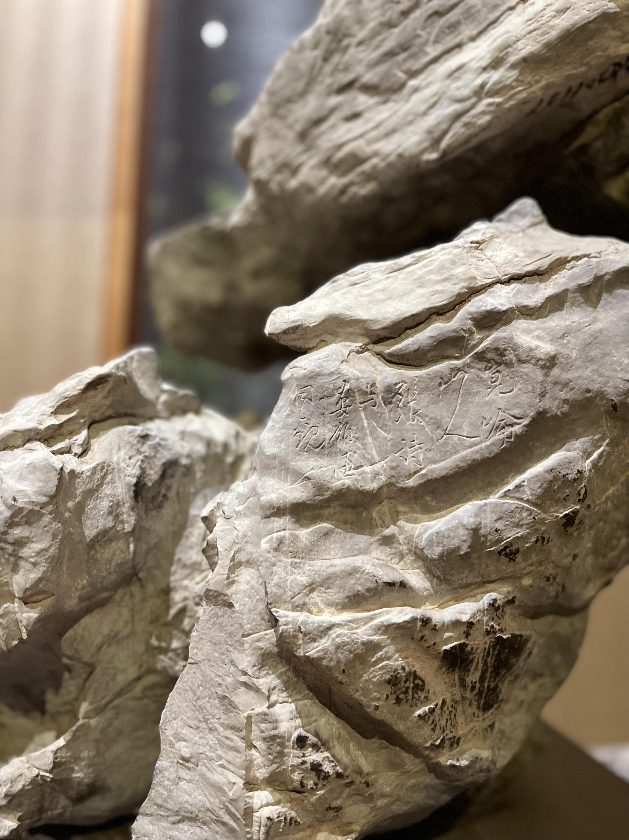 这一赏石极具传奇性,据相关文献记载:此石原在江苏昆山界溪畔顾瑛的