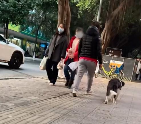 女子遛狗时被自家狗咬了一口，随即将汪按在地上教育：你服不服？休闲区蓝鸢梦想 - Www.slyday.coM