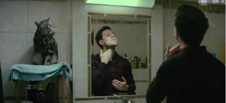 猫咪总爱粘着主人,直到一只橘猫出现后,主人发现自己被绿了休闲区蓝鸢梦想 - Www.slyday.coM 猫咪总爱粘着主人,直到一只橘猫出现后,主人发现自己被绿了休闲区蓝鸢梦想 - Www.slyday.coM