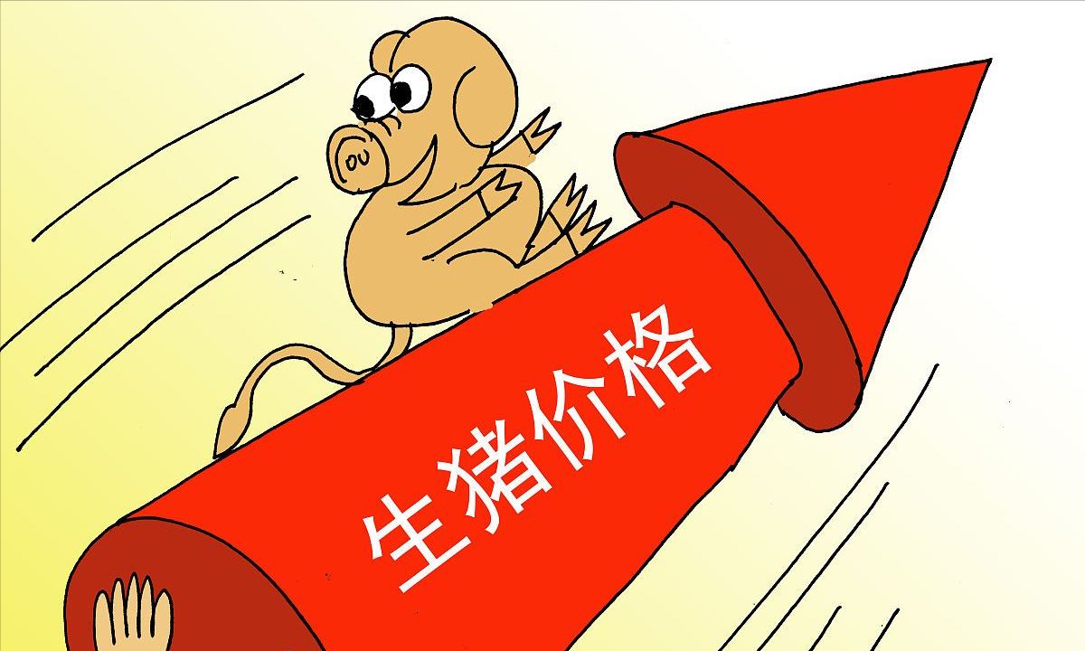 答案来了|生猪|猪价|出栏_新浪新闻