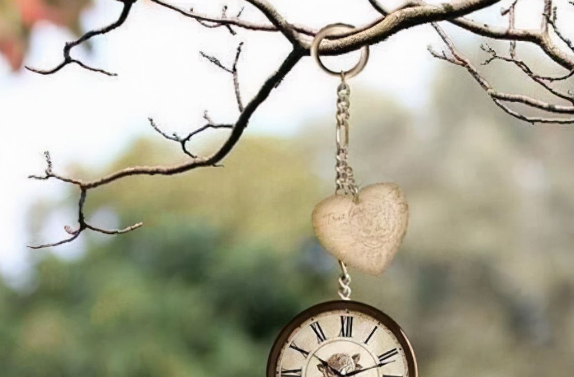 从不发朋友圈的人，大多是这4种人，一般层次都不低休闲区蓝鸢梦想 - Www.slyday.coM