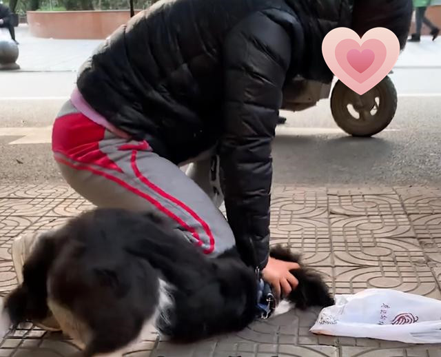 女子遛狗时被自家狗咬了一口，随即将汪按在地上教育：你服不服？休闲区蓝鸢梦想 - Www.slyday.coM