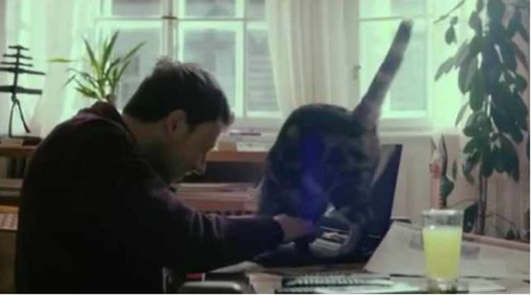 猫咪总爱粘着主人,直到一只橘猫出现后,主人发现自己被绿了休闲区蓝鸢梦想 - Www.slyday.coM 猫咪总爱粘着主人,直到一只橘猫出现后,主人发现自己被绿了休闲区蓝鸢梦想 - Www.slyday.coM