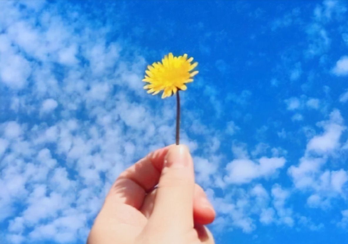 从不发朋友圈的人，大多是这4种人，一般层次都不低休闲区蓝鸢梦想 - Www.slyday.coM