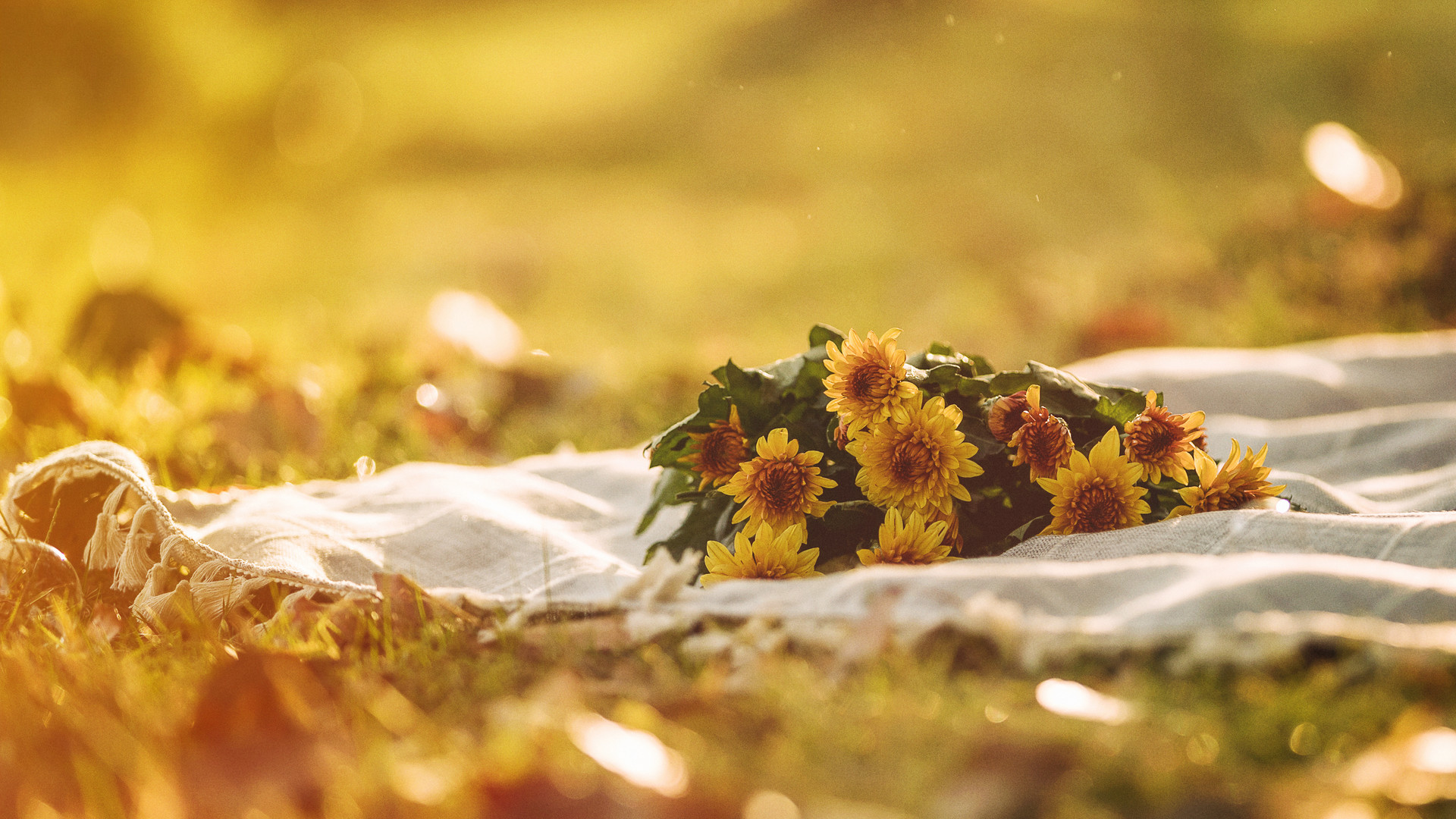 “鸡贼男”到底有多奇葩:把抠门当节俭,把算计当浪漫休闲区蓝鸢梦想 - Www.slyday.coM “鸡贼男”到底有多奇葩:把抠门当节俭,把算计当浪漫休闲区蓝鸢梦想 - Www.slyday.coM