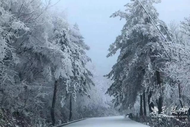 荆早报来了！今天，再次出舱！/ 道路结冰黄色预警！〔12.26〕休闲区蓝鸢梦想 - Www.slyday.coM