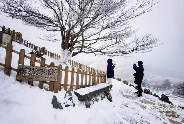 荆早报来了！今天，再次出舱！/ 道路结冰黄色预警！〔12.26〕休闲区蓝鸢梦想 - Www.slyday.coM