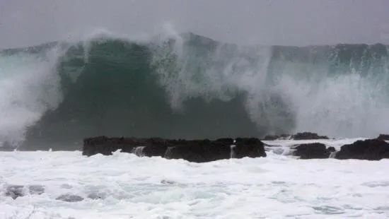 最新通报！西安本土确诊累计485例！后续可能出现更多病例…丨海上夜闻休闲区蓝鸢梦想 - Www.slyday.coM