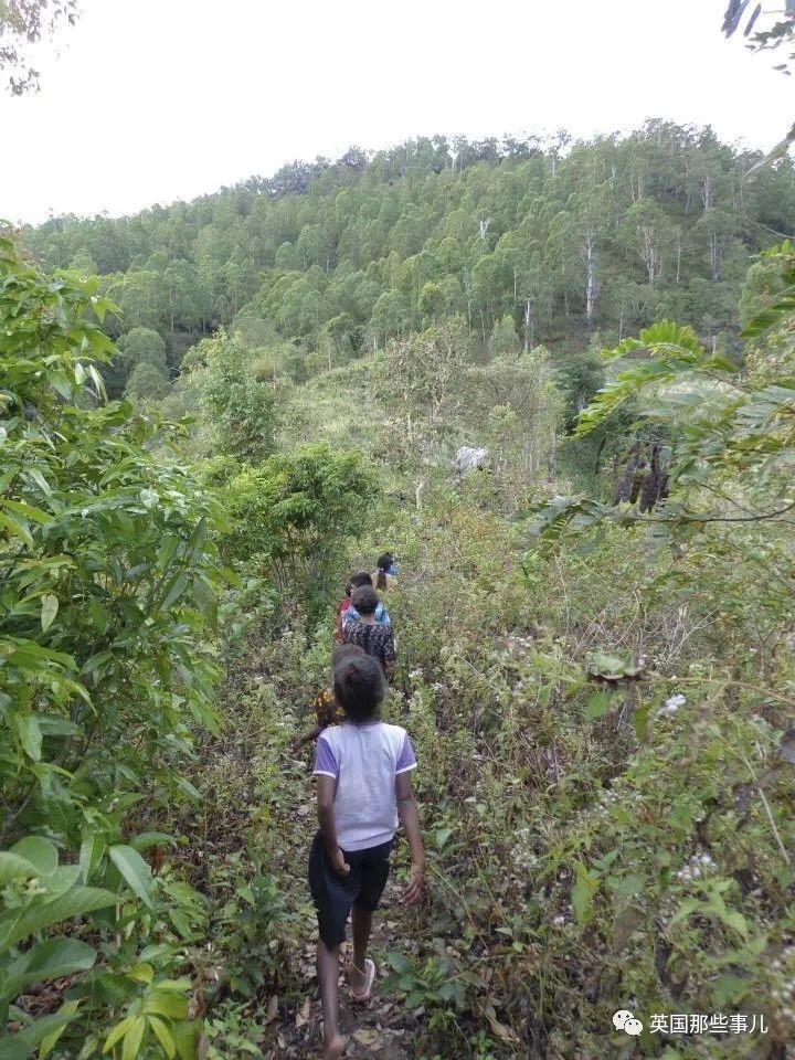 被东帝汶视作国家英雄的传教士，却在自己的孤儿院里性侵女孩。曝光后，依然有大批支持者休闲区蓝鸢梦想 - Www.slyday.coM