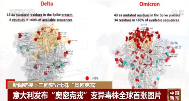 美国近四分之三新增病例为奥密克戎感染，其中在美国东海岸部分地区，奥密克戎毒株感染病例占比达90%休闲区蓝鸢梦想 - Www.slyday.coM