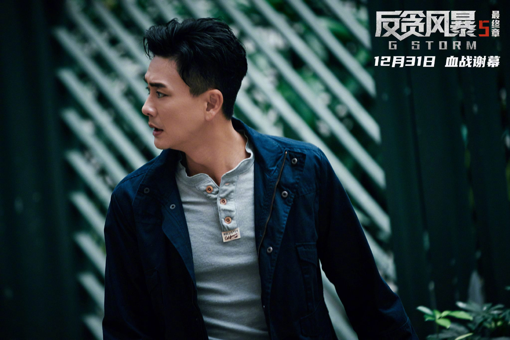 电影反贪风暴5最终章将于12月31日上映