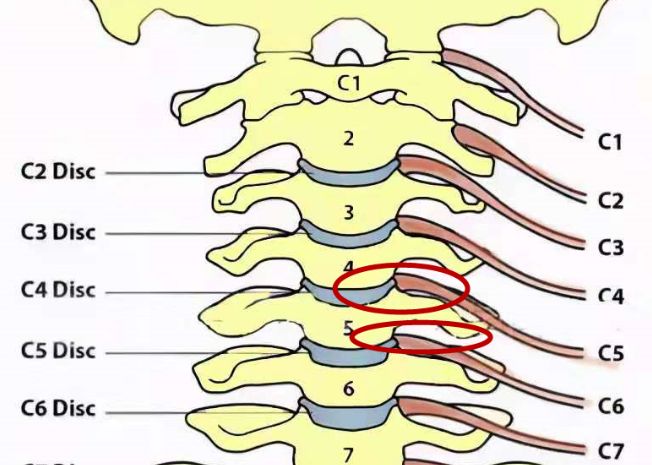 雪铁龙c6新款2022款