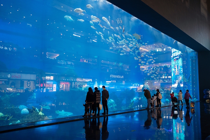 成都浩海立方海洋馆有全球最大的海洋观景窗是亲子游的好去处