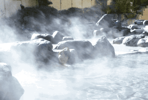 泡汤不止在青城山,成都周边这些网红打卡必去温泉民宿丨南方民宿休闲区蓝鸢梦想 - Www.slyday.coM 泡汤不止在青城山,成都周边这些网红打卡必去温泉民宿丨南方民宿休闲区蓝鸢梦想 - Www.slyday.coM