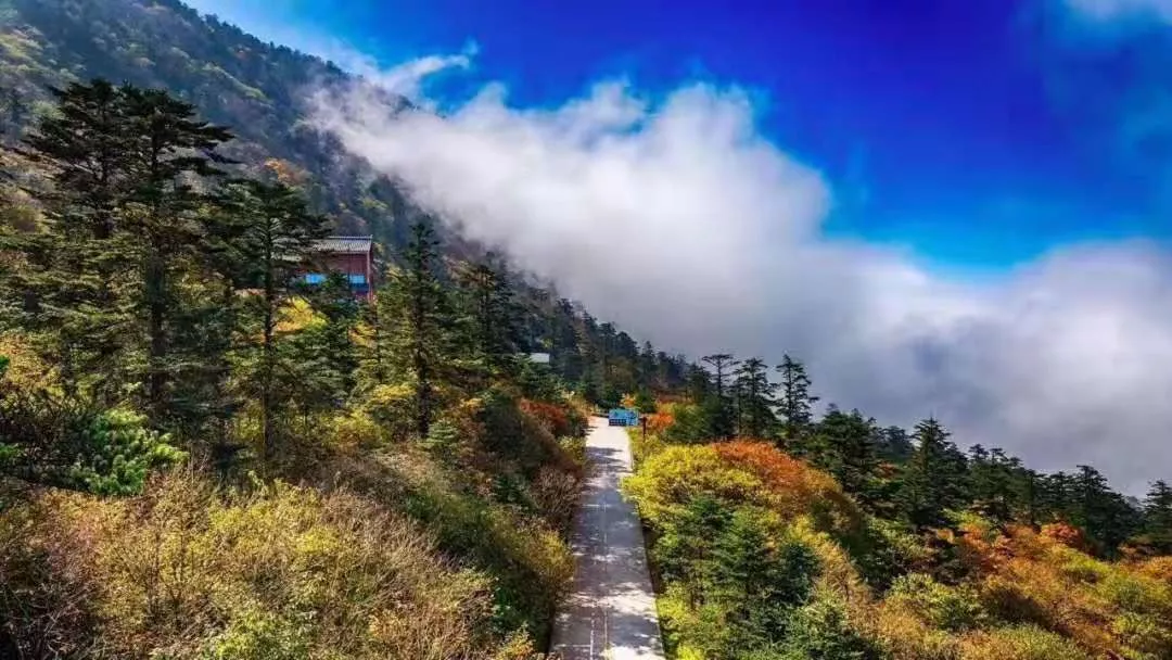 泡汤不止在青城山,成都周边这些网红打卡必去温泉民宿丨南方民宿休闲区蓝鸢梦想 - Www.slyday.coM 泡汤不止在青城山,成都周边这些网红打卡必去温泉民宿丨南方民宿休闲区蓝鸢梦想 - Www.slyday.coM