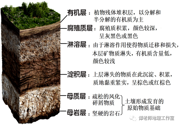 土壤剖面分层绘图-千图网