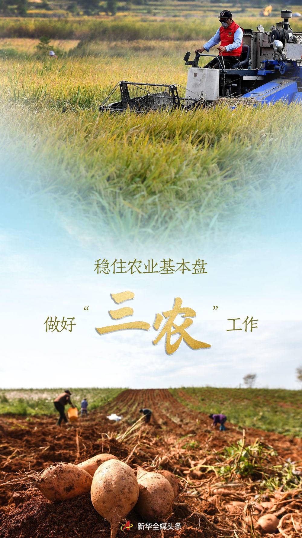 稳住农业基本盘 做好“三农”工作——从中央农村工作会议看2022年“三农”重点任务休闲区蓝鸢梦想 - Www.slyday.coM