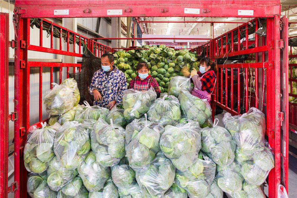 稳住农业基本盘 做好“三农”工作——从中央农村工作会议看2022年“三农”重点任务休闲区蓝鸢梦想 - Www.slyday.coM