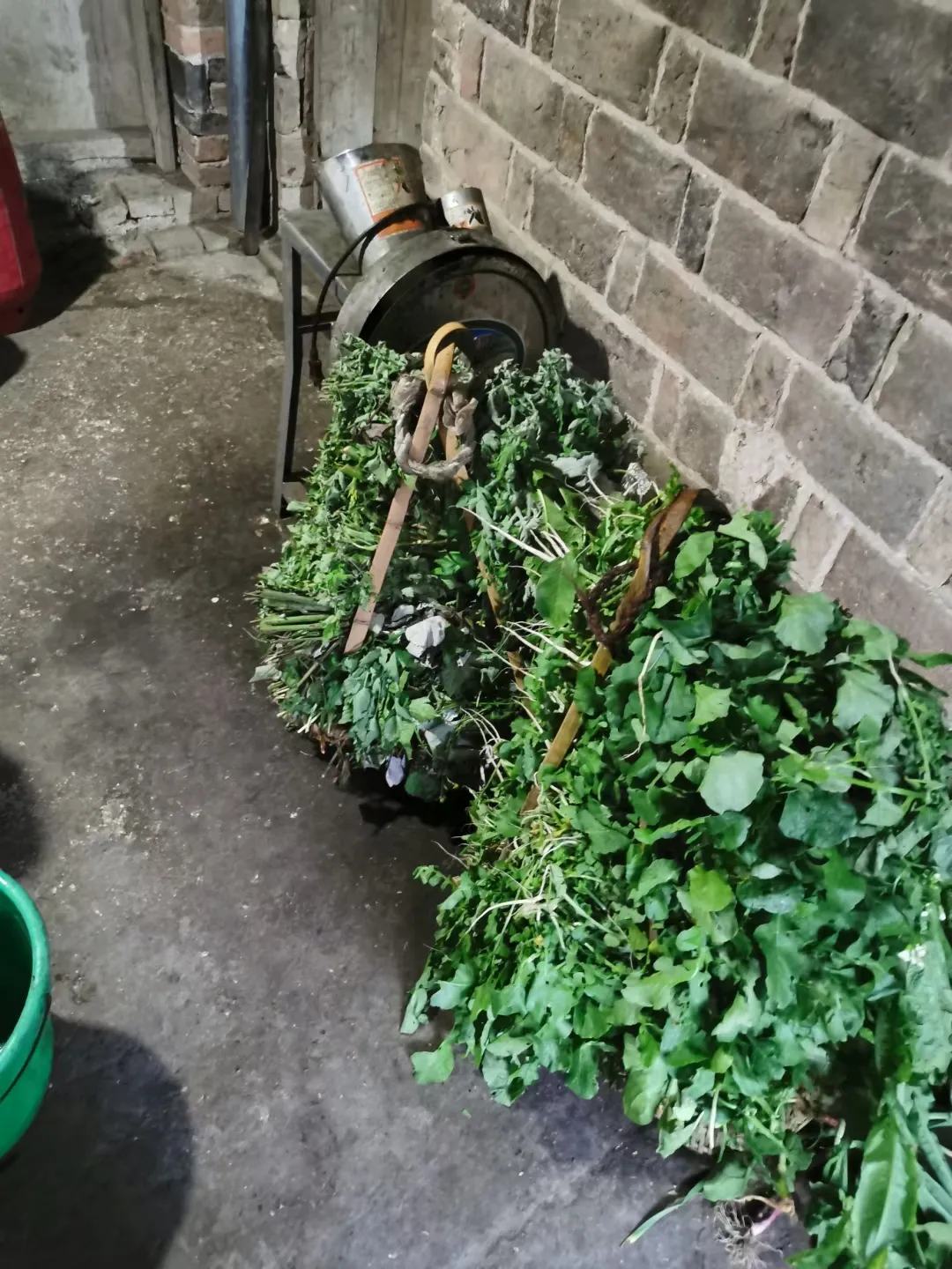 说每天斩草都要很久的时间,天天都是老爸斩草的,妈妈天天要煮那个猪潲