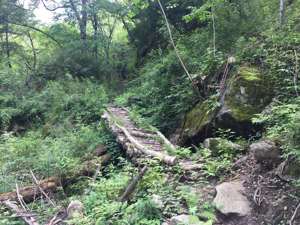 躲避疫情管控 西安男子徒步9天穿越秦岭回到安康宁陕休闲区蓝鸢梦想 - Www.slyday.coM