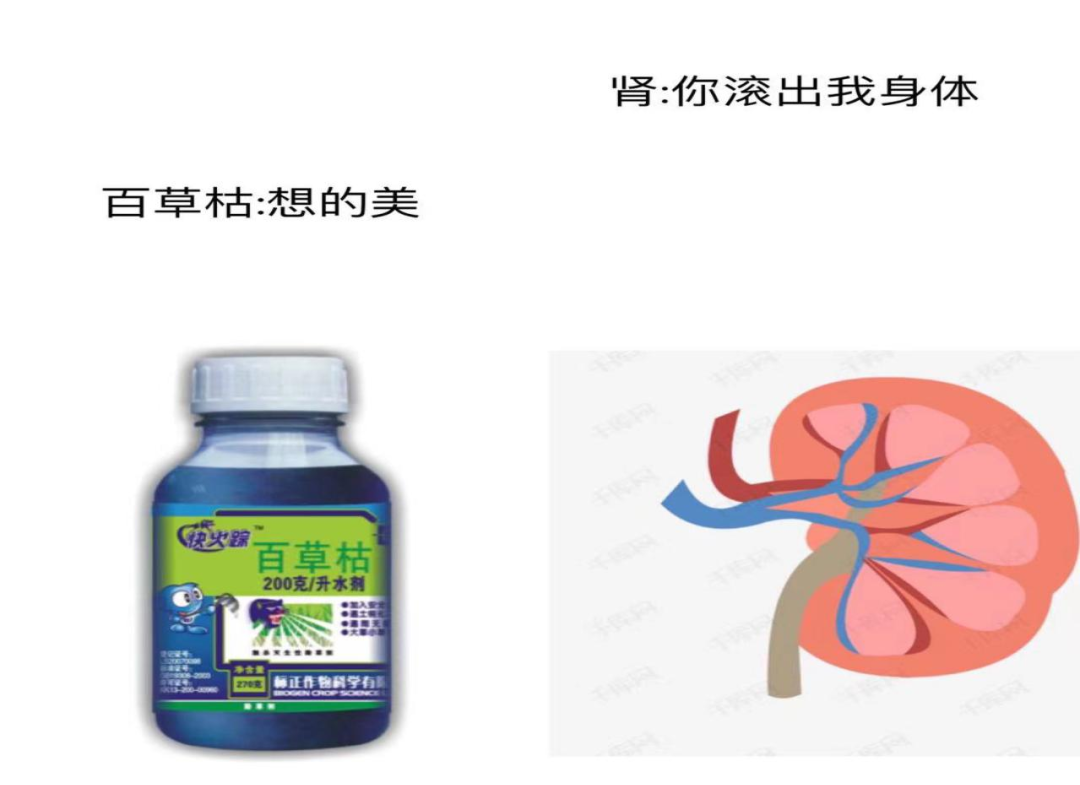 丧心病狂！18岁少女被姐夫投毒，稀释后的百草枯可以“洗”掉吗？休闲区蓝鸢梦想 - Www.slyday.coM