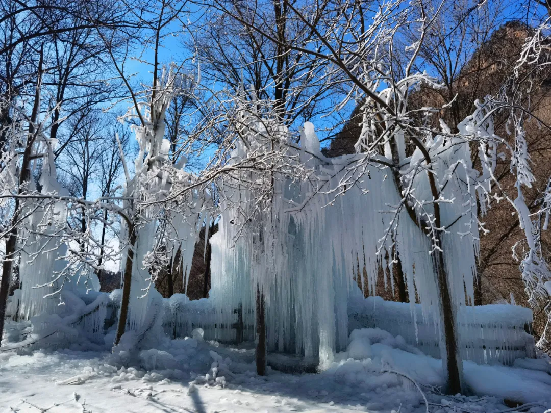 冰挂成群南阳老界岭雪后雾凇引围观