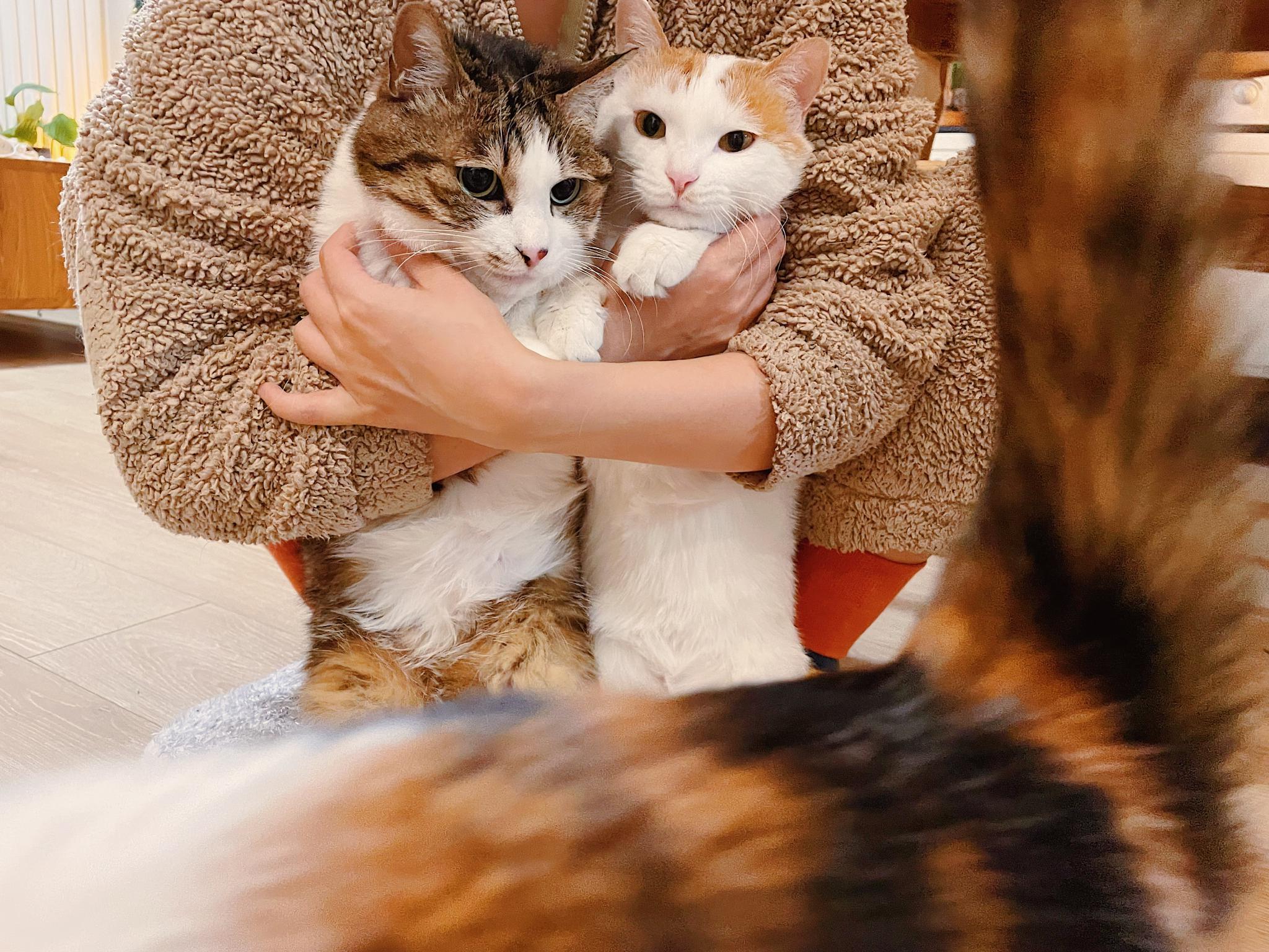 他们俩抱在一起不会互相打耶 晚安啦