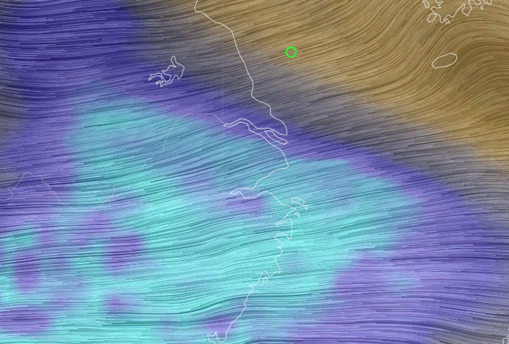上海下雪啦？网友：快抓紧时间拍照休闲区蓝鸢梦想 - Www.slyday.coM