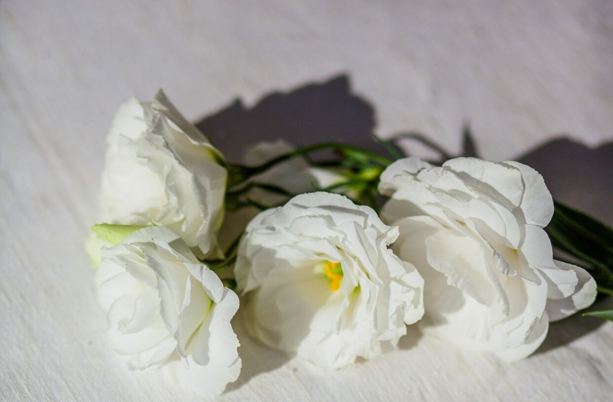 有5种类型的女生很难追，男生不要轻易去追求，会伤心受打击休闲区蓝鸢梦想 - Www.slyday.coM