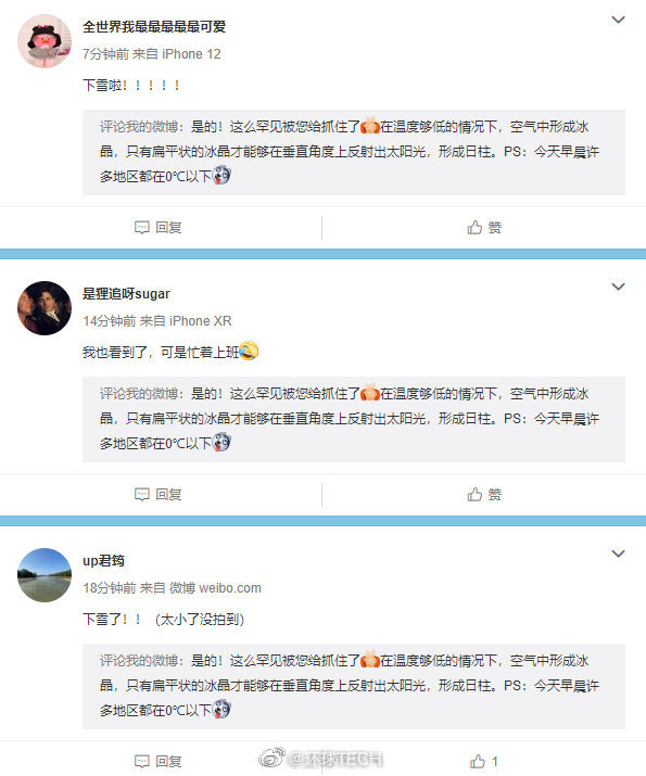 上海下雪啦？网友：快抓紧时间拍照休闲区蓝鸢梦想 - Www.slyday.coM