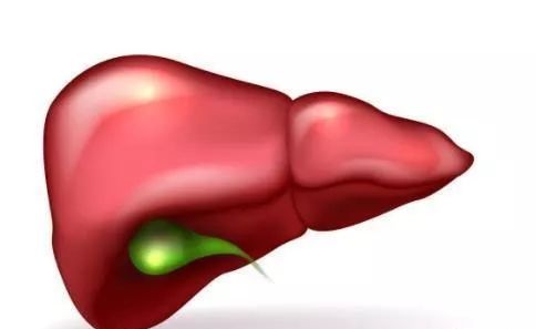 牢记:吃饭前一不要,睡觉前二不要,肝就会棒棒的!休闲区蓝鸢梦想 - Www.slyday.coM 牢记:吃饭前一不要,睡觉前二不要,肝就会棒棒的!休闲区蓝鸢梦想 - Www.slyday.coM