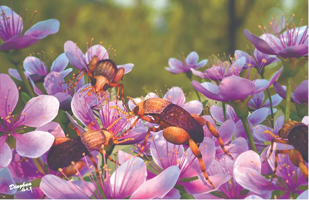 蔡晨阳供图大多数被子植物(有花植物)通过昆虫进行传粉,昆虫传粉也被