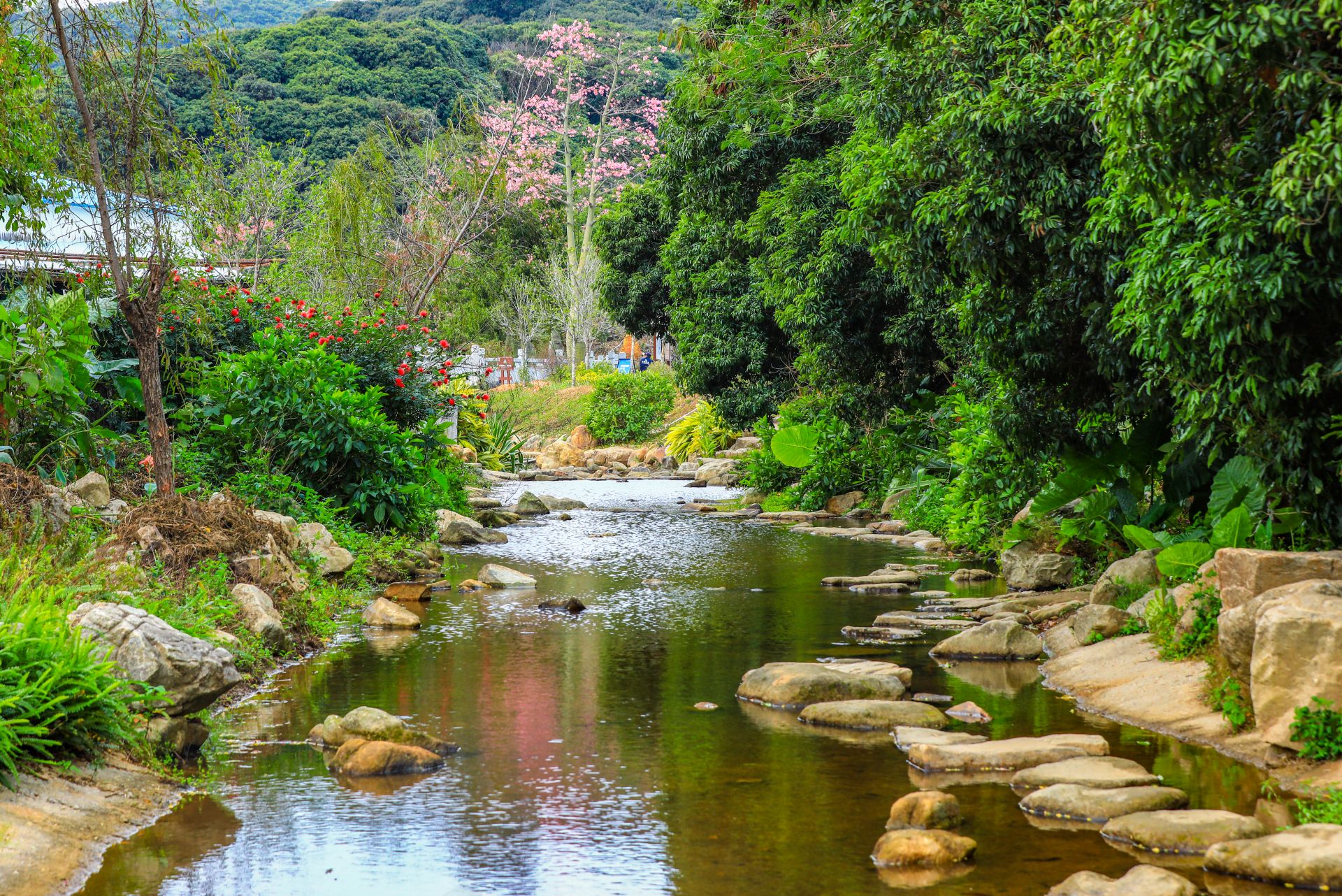 公园城市又添绿色新福利塘朗山郊野公园深云谷景区建成开放