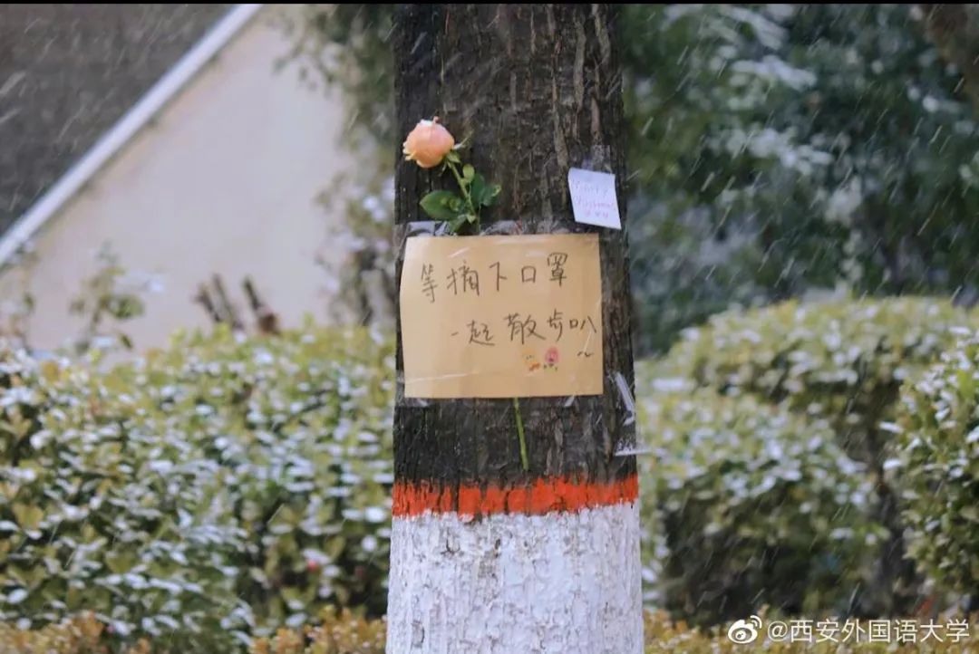 各高校抗疫日记上热搜！西安大学生们燃起来了！休闲区蓝鸢梦想 - Www.slyday.coM