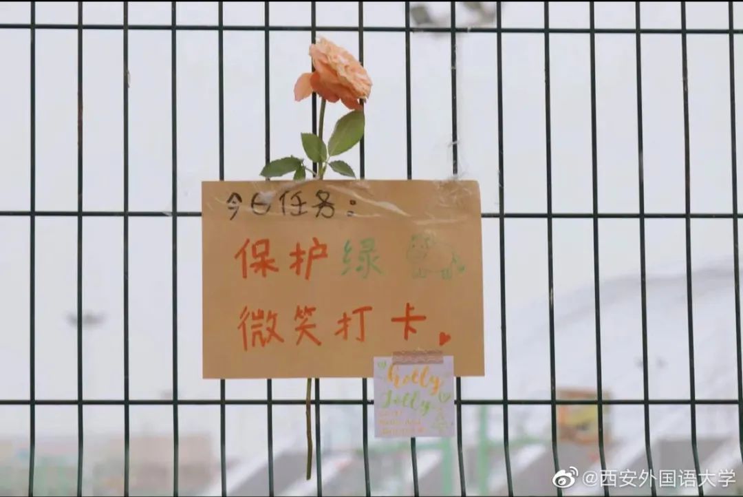 各高校抗疫日记上热搜！西安大学生们燃起来了！休闲区蓝鸢梦想 - Www.slyday.coM