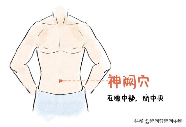 也是先天与后天沟通的重要部位是先天留下的印记叫「神阙穴」是个很