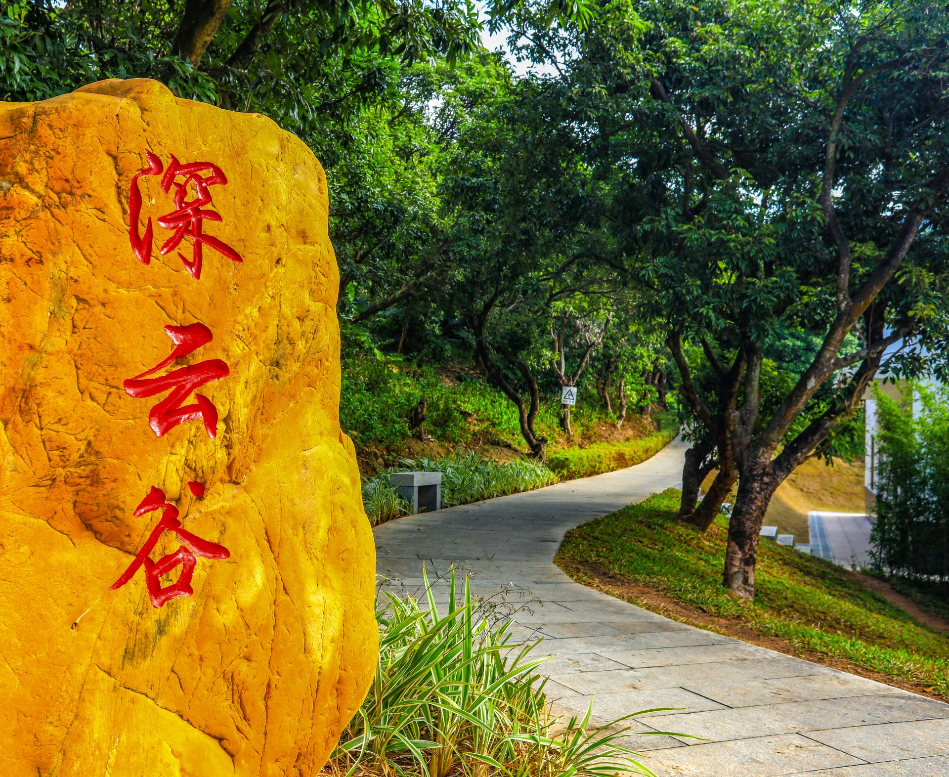 公园城市又添绿色新福利塘朗山郊野公园深云谷景区建成开放