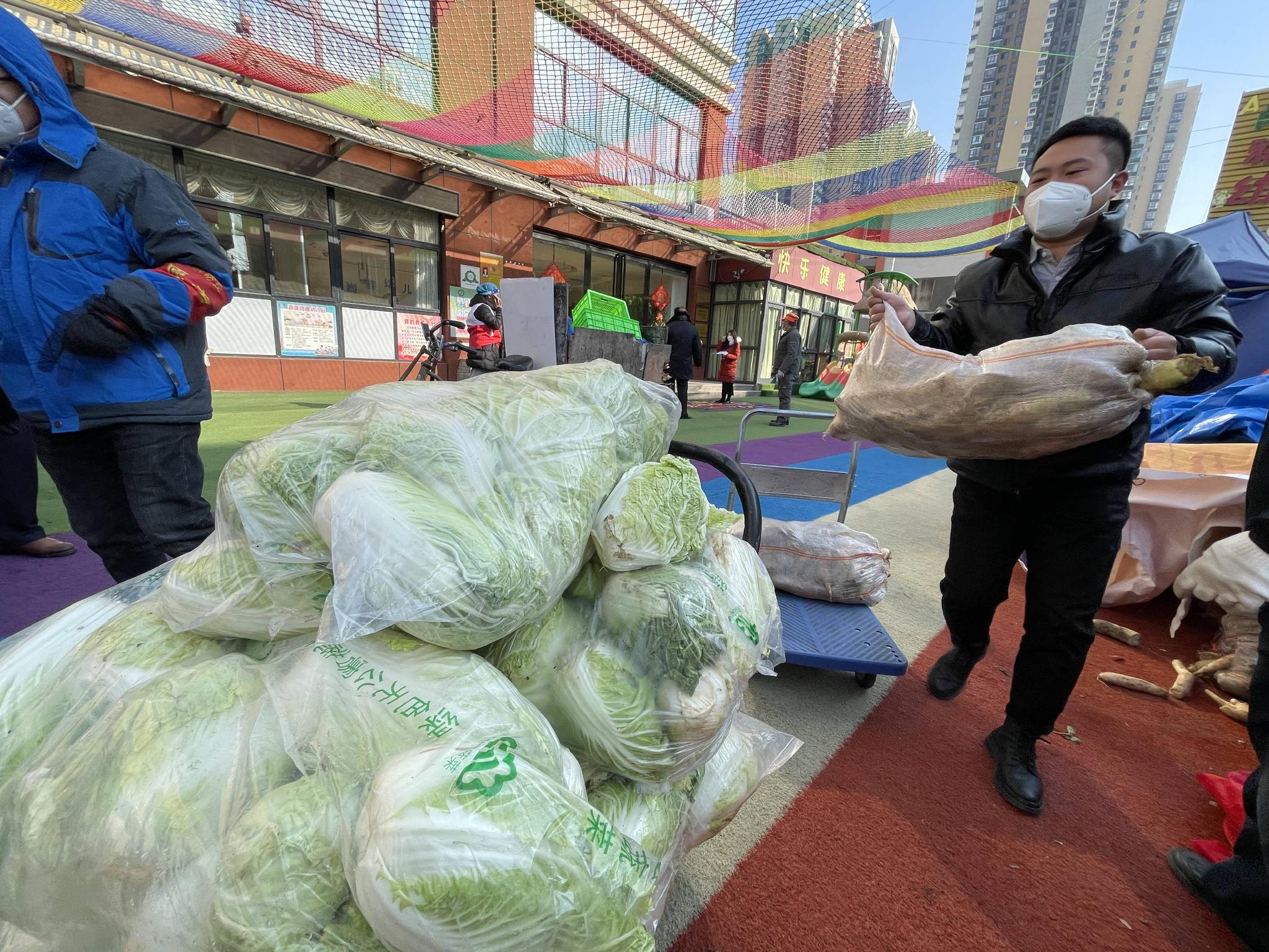 山东捐赠的10万斤爱心菜已到西安 供应给2000多名师生和居民休闲区蓝鸢梦想 - Www.slyday.coM