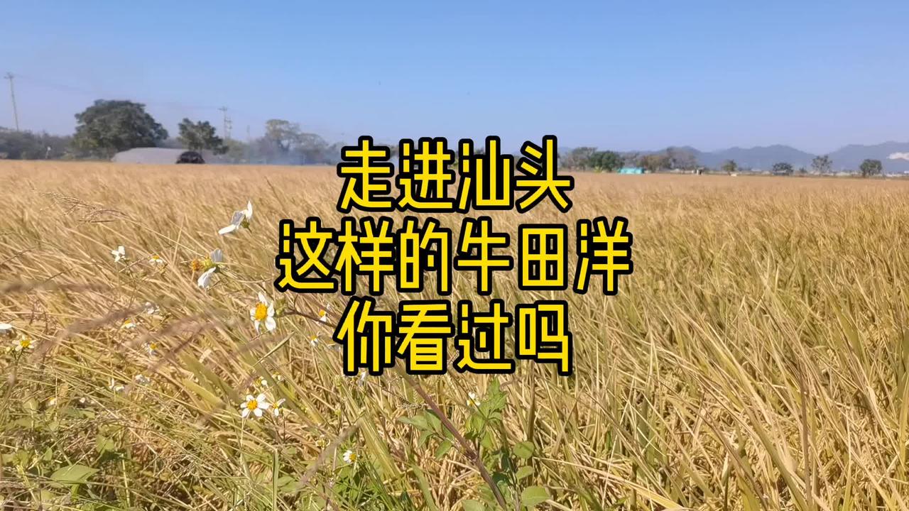 走进汕头,这样的牛田洋,你看过吗?